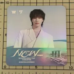 SEVENTEEN EXPERIENCE コースター ディノ