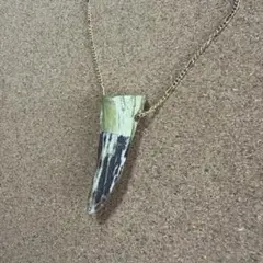鮫？狼？クロコダイル？の牙？　ネックレス
