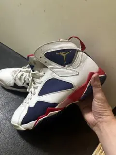 NIKEナイキ エアジョーダン7 レトロ オリンピック28.5cm jordan