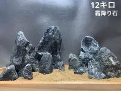 2026年最新】青龍石 水槽の人気アイテム - メルカリ