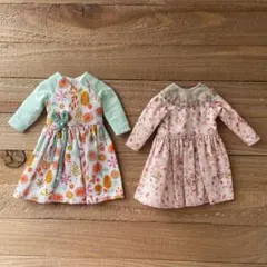 ネオブライス アウトフィットset