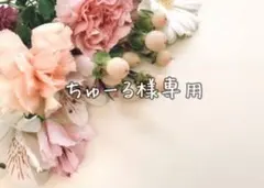 ちゅーる様専用·͜· ︎︎ᕷ