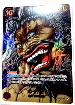 美品 ワンピースカード 世界最強の戦士OP17カイドウSRパラレル原画 刃