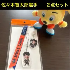 清水エスパルス　30佐々木智太郎選手 マッチデーボンフィン＆めじるしキーホルダー