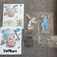 2026年最新】ハイキュークロニクル フォトカードの人気アイテム - メルカリ