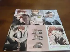 ピットスポルム　ネップリ　6枚セット