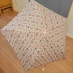 Item thumbnail for item 6c8b6920-fcb6-47d1-94e3-05c2e3d3dc9a