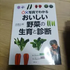 Item thumbnail for item 4fe24e49-a2bc-4f87-bf03-9f0c60f2b2d0