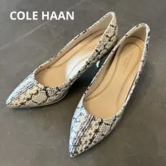 コールハーン 美脚 楽ちんパンプス パイソン柄