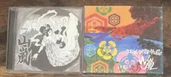【廃盤】山嵐 COLORS WATER MUSIC 未体験ゾーン CD2枚セット