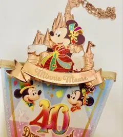 ディズニー　40周年　ドリームゴーラウンド　バッグチャーム&ガーランドセット