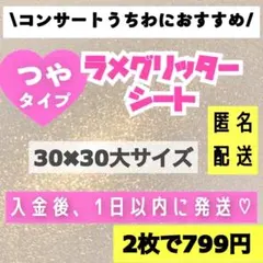 HUH様 リクエスト 2点 グリッターシート