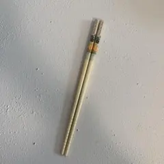 スケーター　くまのプーさん　シークレット 箸 21cm