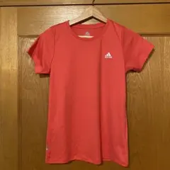 Item thumbnail for item 1152d589-1302-4e14-ac2c-c498d27dc74b