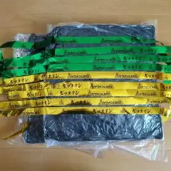 ケツメイシグッズ 【2個セット】リバーシブルキャンプクッション