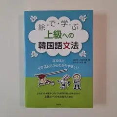 絵で学ぶ上級への韓国語文法 : なるほど、イラストだからわかりやすい!