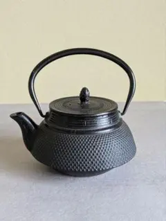 南部鉄器 鉄瓶 急須 茶注ぎ ホーロー加工　スタイリッシュ 約500mlのサムネイル
