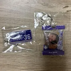 サンフレッチェ広島 井上愛廉