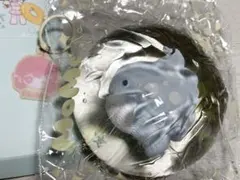2026年最新】momo海洋シリーズの人気アイテム - メルカリ