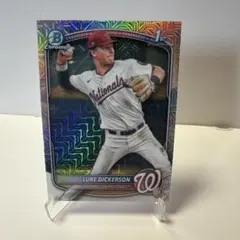 Item thumbnail for item 0757d0f1-fa3d-4d92-8d7e-4d3913d8face