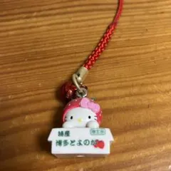 激レア 99年 未開封 ハローキティ 野いちご 5連 スライド フック 苺 激レア 99年 未開封 ハローキティ 野いちご 5連 スライド フック 苺 激