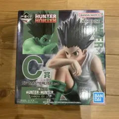 ハンターハンター一番くじ　c賞　ゴン