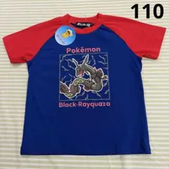 Item thumbnail for item 959b4eca-ea3a-4e0f-9640-88df0ec95a95