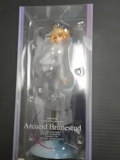 【新品未開封】月姫 アルクェイド 1/7 フィギュア ANIPLEX ALTER