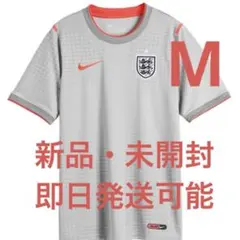 ナイキ イングランド×パレス アカデミー プロ半袖サッカートップ