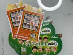 calbee SnowMan フライヤー