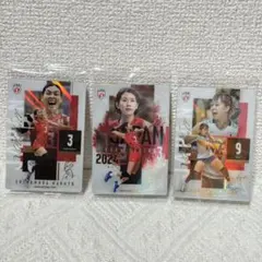 バレーボール女子日本代表 ツインウエハース R岩澤実育 島村春世SP 古賀紗理那