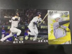 プロ野球チップス2025 阪神タイガース　セット