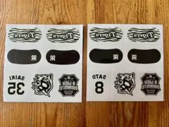 Item thumbnail for item f75905e9-c48f-4424-ad51-6419f46bb521