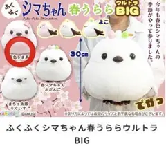 ふくふくシマちゃん 春うらら STぬいぐるみ 桜色しまゑ まちゃ太郎