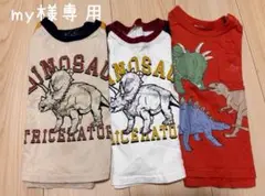 保育園着　長袖恐竜柄3枚セット　size90 男の子 chil2・SKAPE