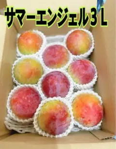 あと少し★サマーエンジェル大9個入り 贈答用のサムネイル
