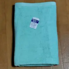 Item thumbnail for item 016d3531-130d-48e6-a2ea-2197e8fb6ea5