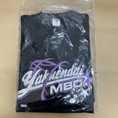 Item thumbnail for item 96b00199-10e3-4b20-a476-5abb71900381