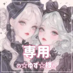 ☆ゆず☆様ꕤ専用ꕤ