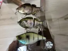 Item thumbnail for item c11addcb-c9b0-45fa-8721-52bd9cc9cf77