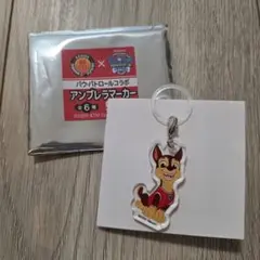 Bリーグ　名古屋ダイヤモンドドルフィンズ　パウパト　アンブレラマーカー　チェイス