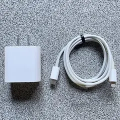 Apple 20W USB-C 電源アダプタ&Lightningケーブル W06