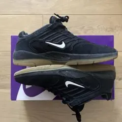 Nike SB Vertebrae ナイキ　スニーカー
