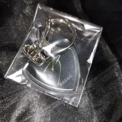 【本人使用モデル】GLAY TERU ピック 2025年最新】GLAY ピックの人気アイテム - メルカリ