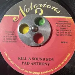 3487 レゲエ レコード 7インチ SOUND tune