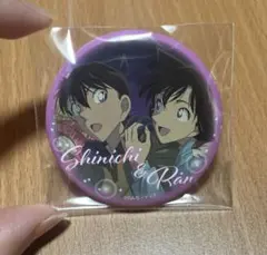 工藤新一 毛利蘭