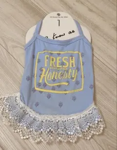 Item thumbnail for item bbaff737-8327-48d6-88eb-09070c059c1d