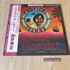 HARUOMI HOSONO 細野晴臣 トロピカルダンディ ロンT M 細野晴臣 / トロピカル・ダンディ | レコード買取【総合No.1