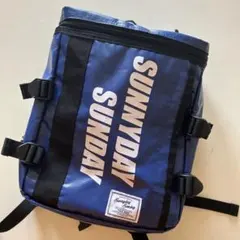 Item thumbnail for item 619a66ae-7922-4434-9338-3d91ecdf6100