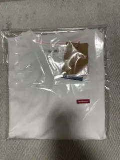 【新品未使用】マムート　エッセンシャルTシャツ white アジアMのサムネイル
